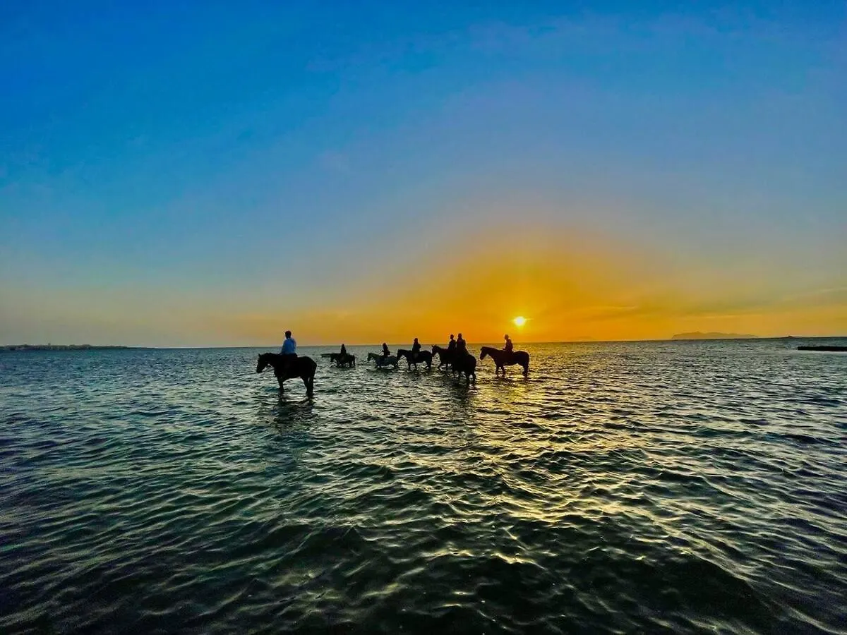 Simarty Home Marsala 0*,  Italia